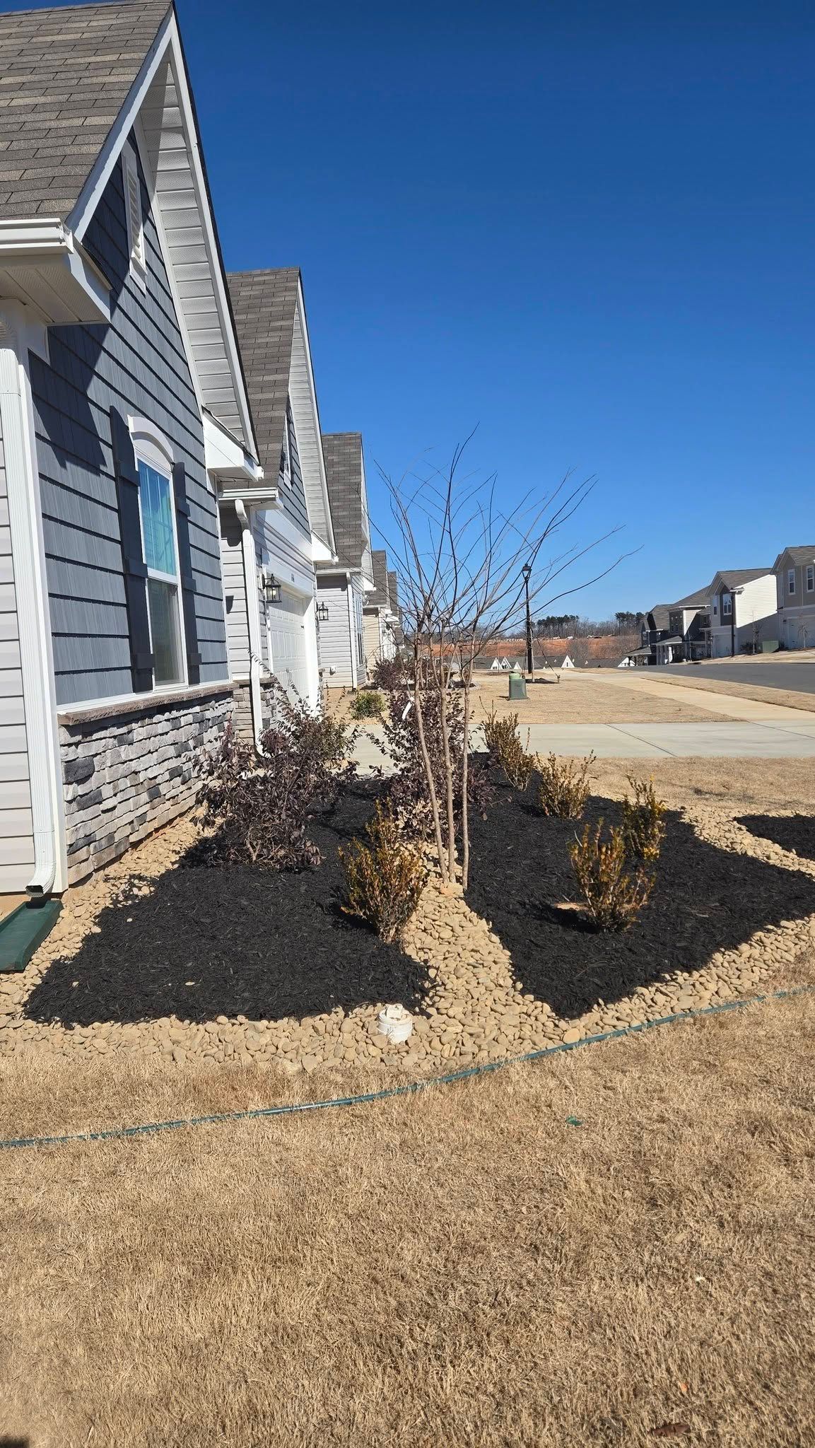 Apartment row with a landscaped sidewalk and a flock of birds flying near bushes under a clear blue sky