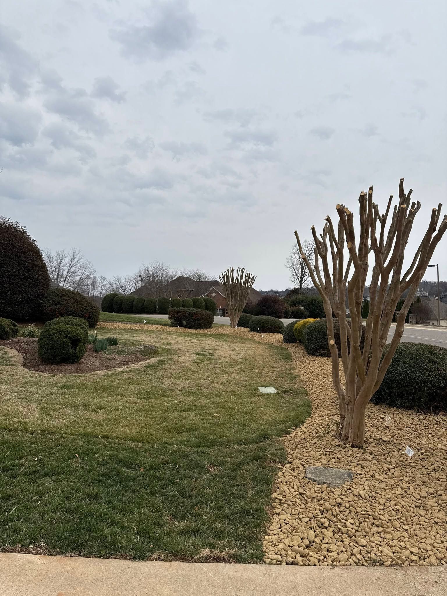 Leafy garden with trimmed shrubs, gravel paths, and an overcast sky