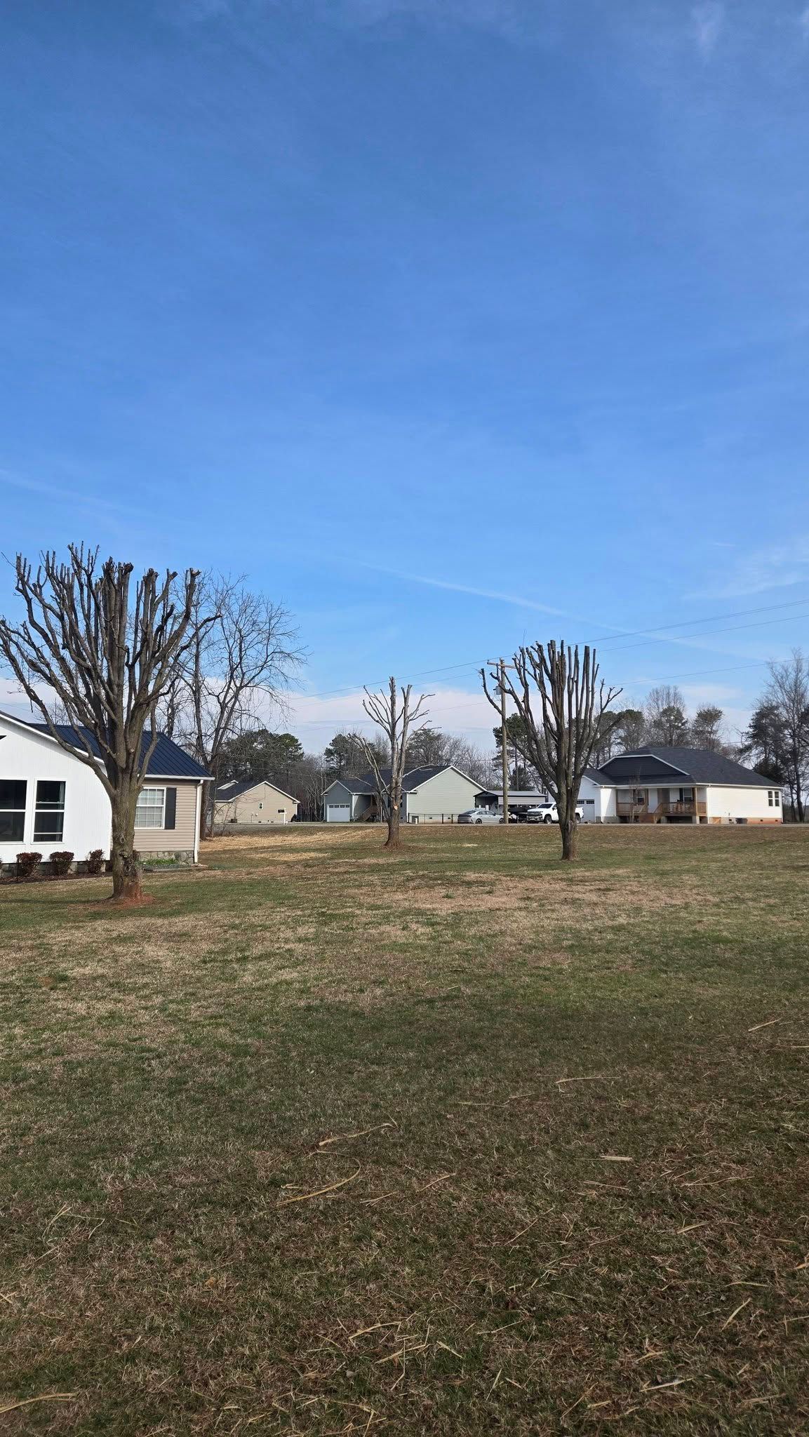 Open grassy field with bare trees and houses under a clear blue sky.