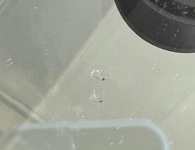 After windshield repair in Buford, GA