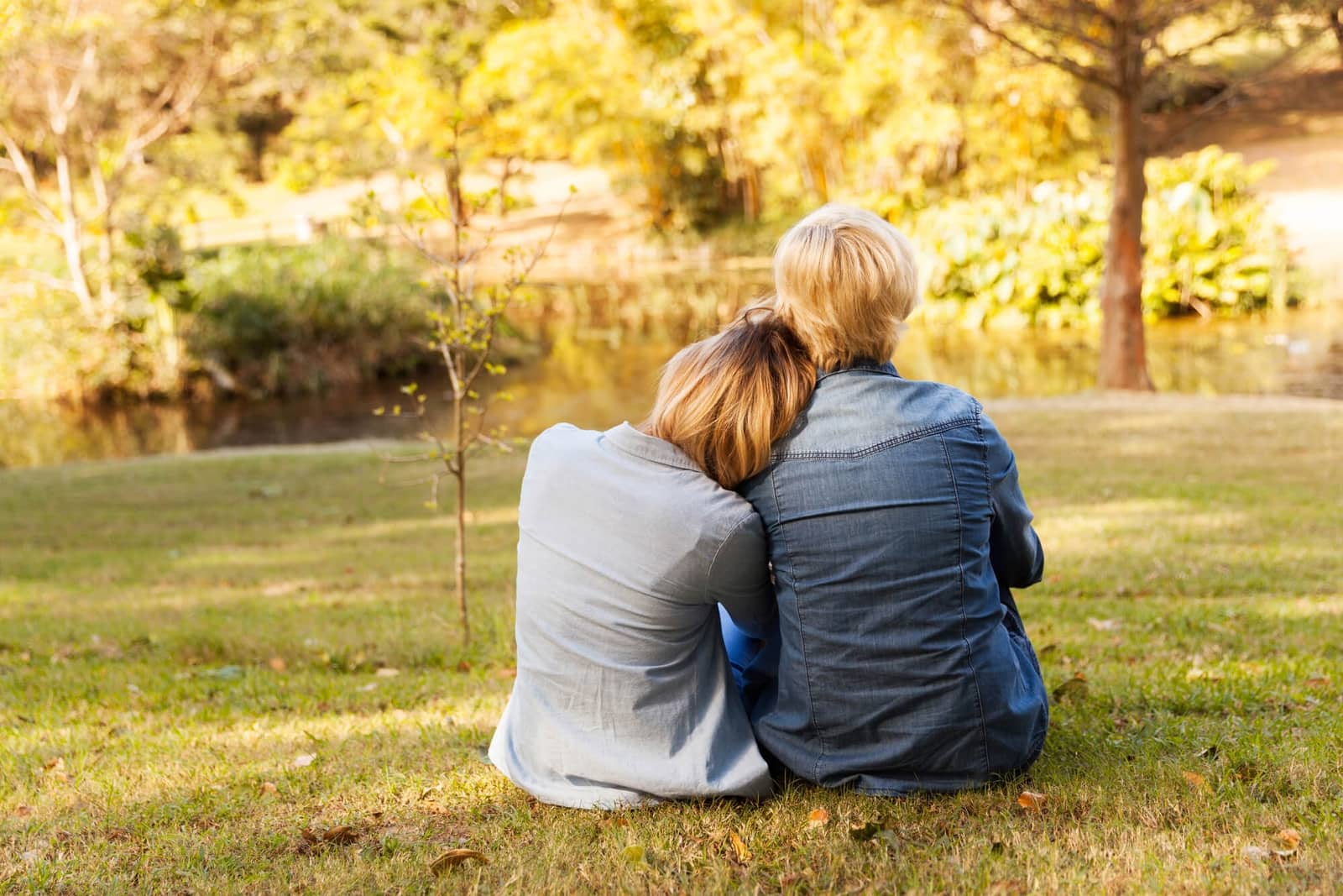 section-image
