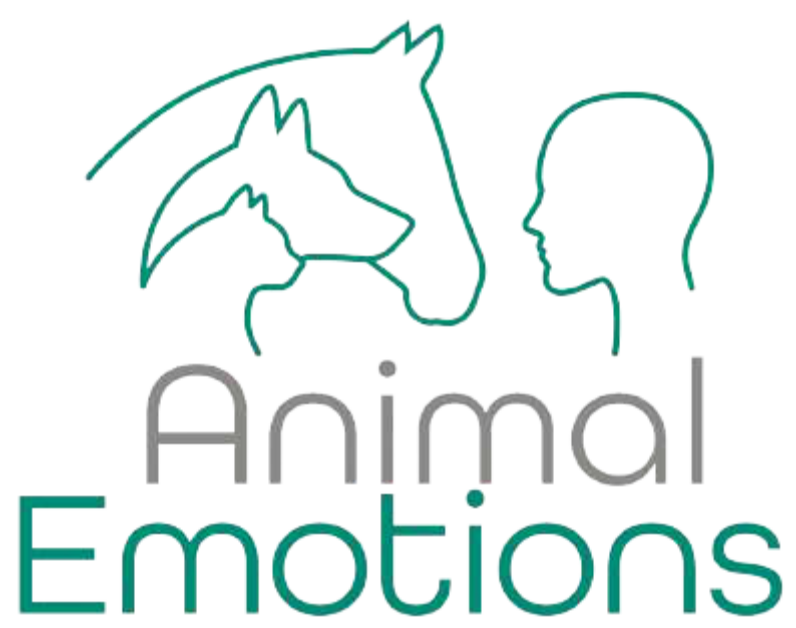 Logo représentant les silhouettes d'un cheval, d'un chien et d'un chat à côté d'un profil humain. Texte : Émotions animales, turquoise et gris.