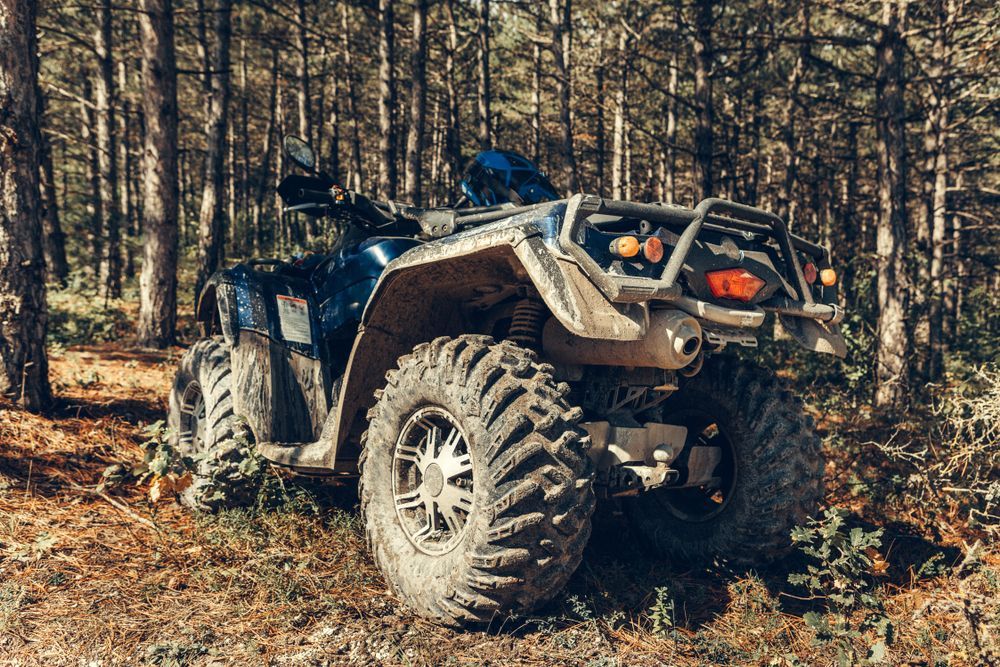 Black Atv Parked on a Forest Trail Among Tall Trees, Viewed From the Rear — Cooper's Auto Service Centre in Glen Innes, NSW