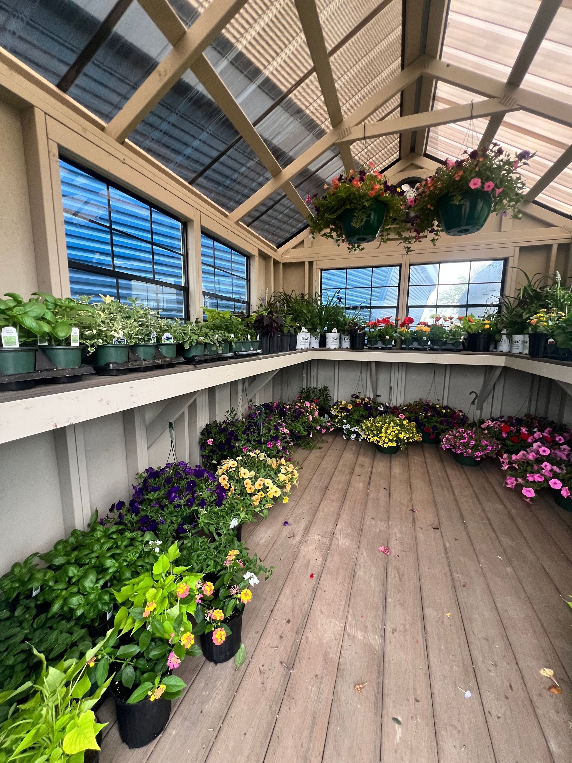 Interior view of the new greenhouse with plants