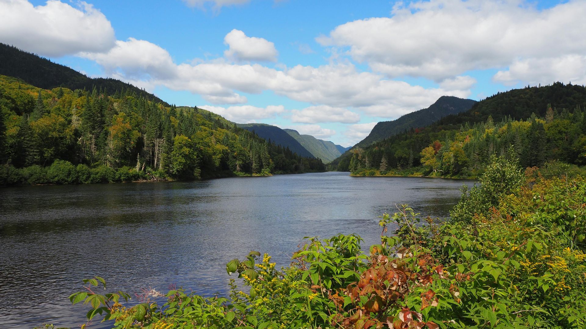 Rivière pittoresque entre des montagnes boisées sous un ciel partiellement nuageux, avec un feuillage vert vif au premier plan.