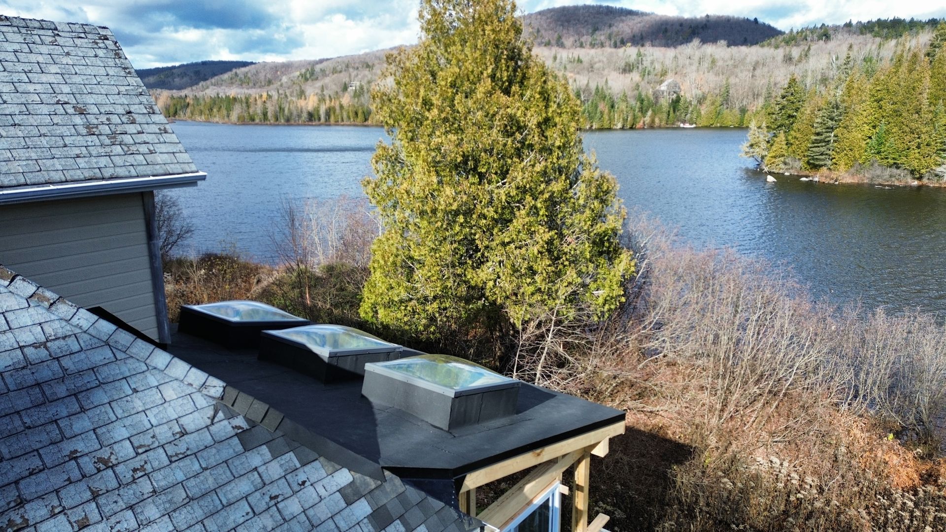 Vue sur le lac et les montagnes depuis un toit-terrasse, avec un grand conifère au premier plan.