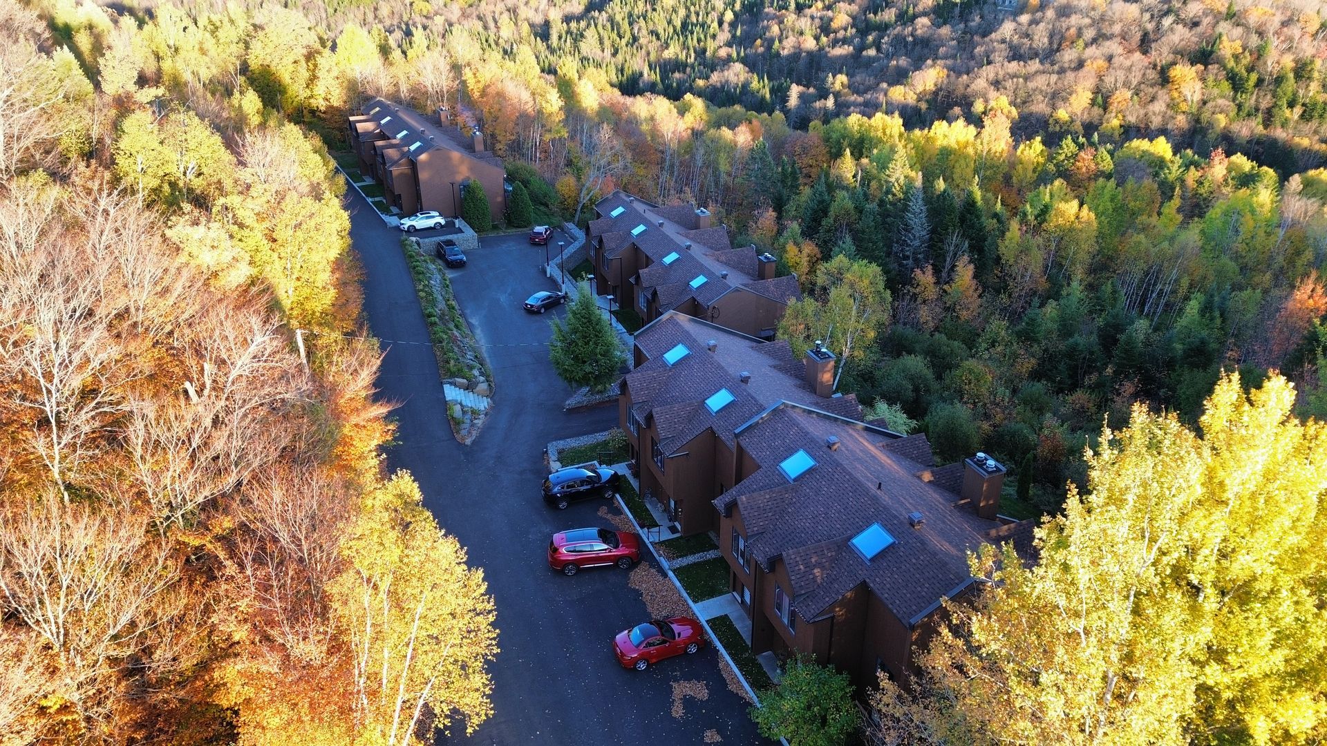 Vue aérienne d'un chalet avec des voitures garées, entouré d'arbres denses aux couleurs d'automne.
