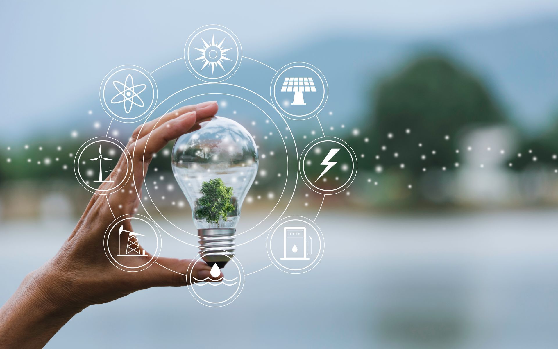 A person is holding a light bulb with a tree inside of it.
