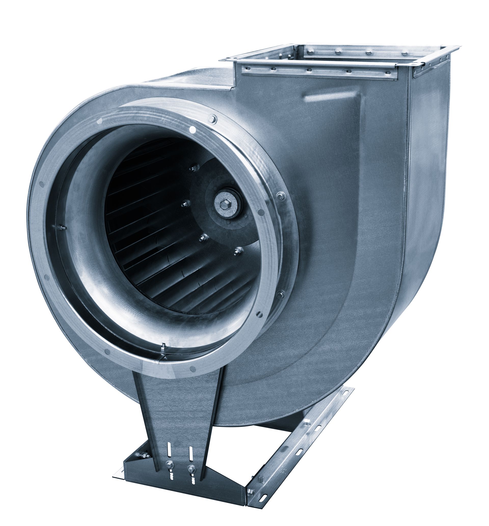 A close up of a fan on a white background