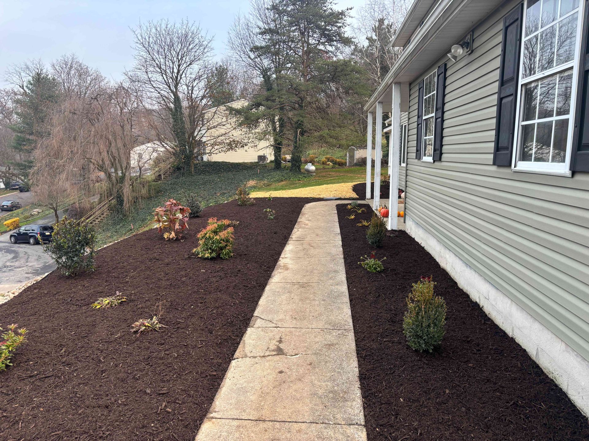 Front walkway beside a gray house with fresh dark mulch and small shrubs in the yard