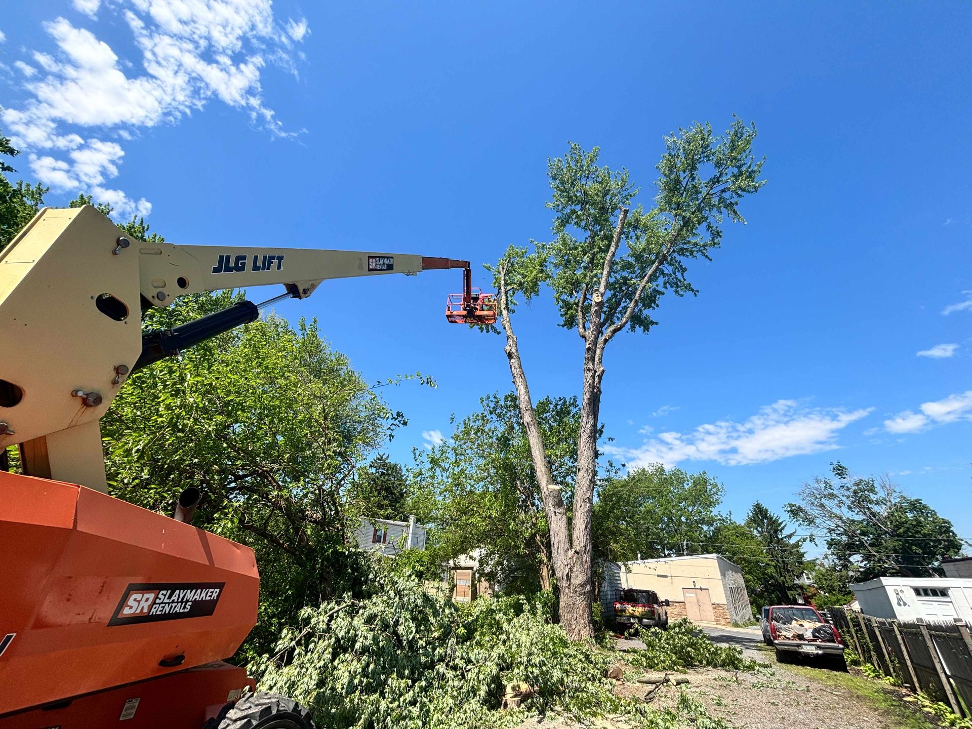 Bucket truck trimming a tall tree beside a house under a blue sky