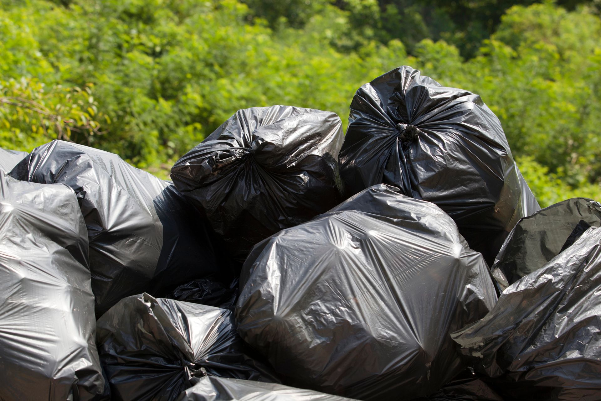 Pile of black trash bags against a blurred green background of trees.