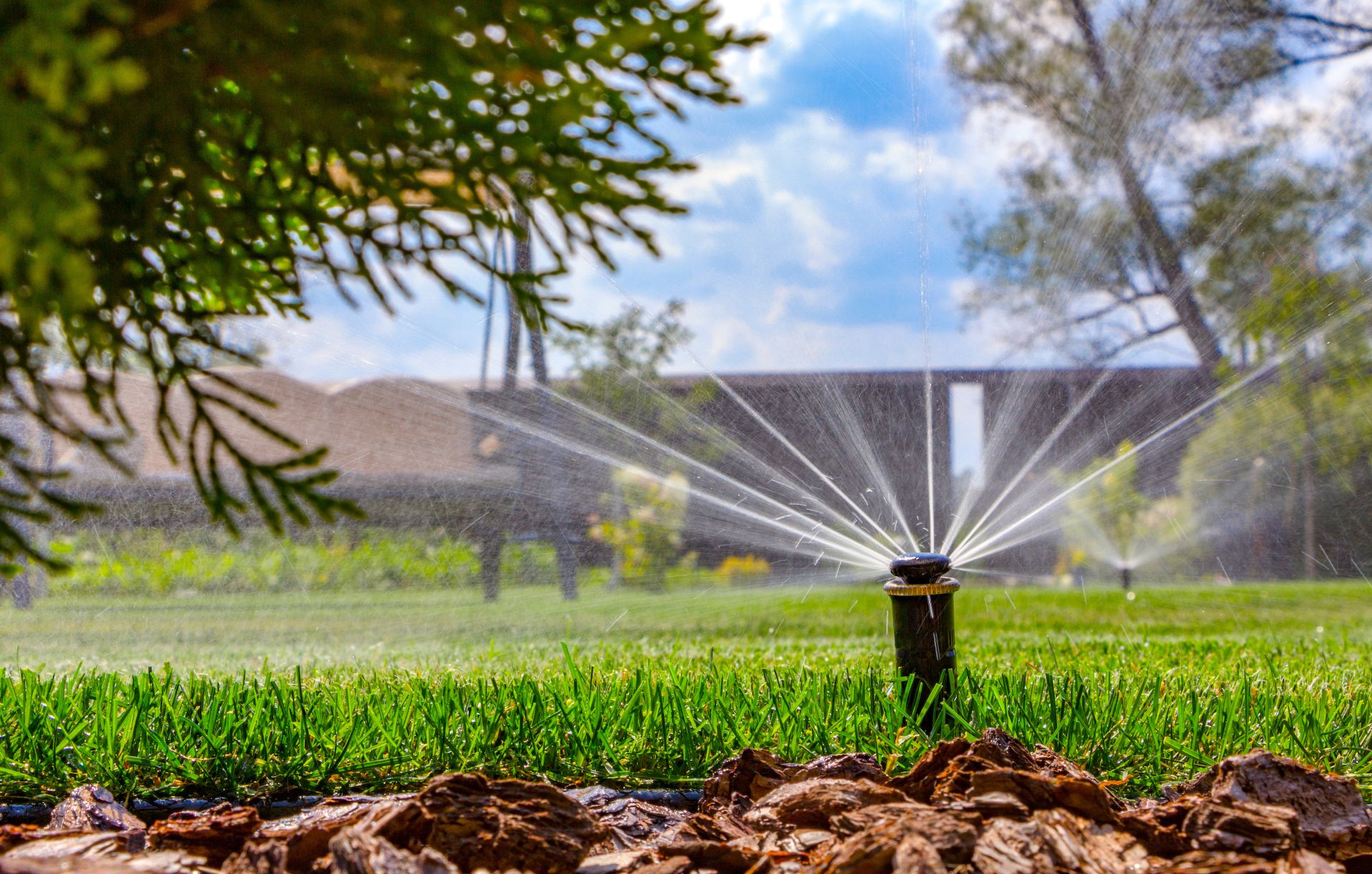 Sprinkler system watering green lawn in a sunny backyard, with a blurred background of trees and a fence.