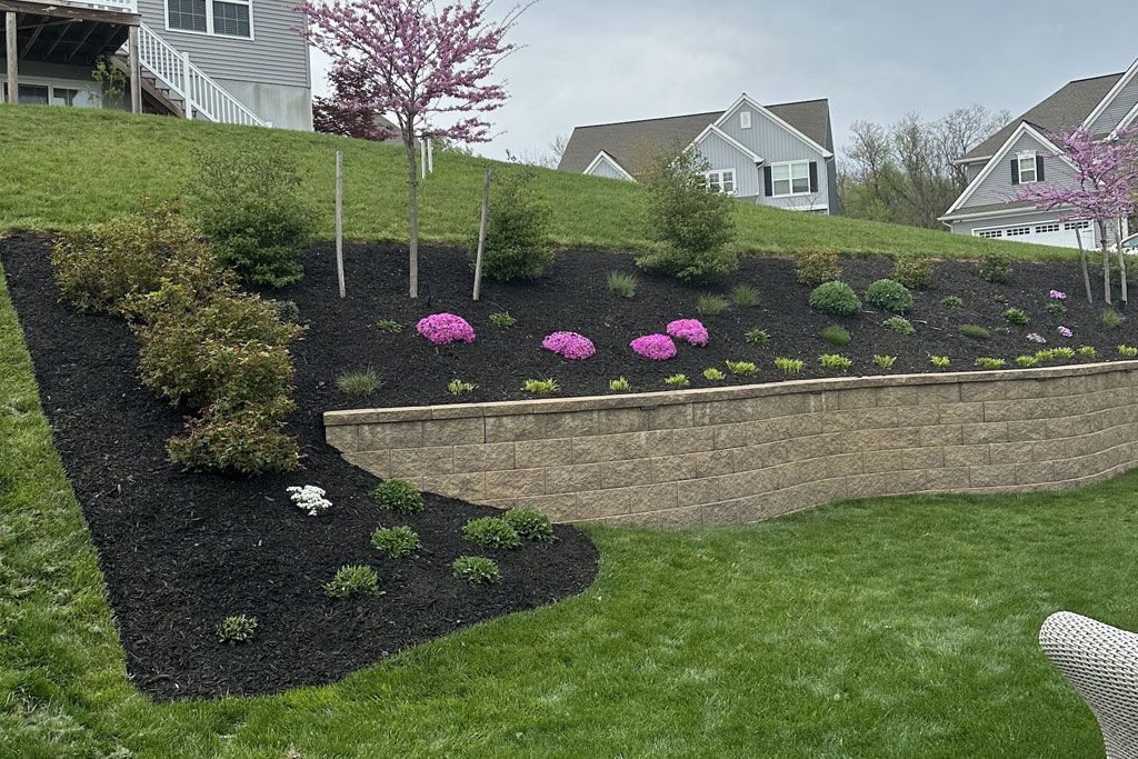 Terraced garden bed with black mulch, pink flowers, stone edging, and green lawn in a suburban yard.
