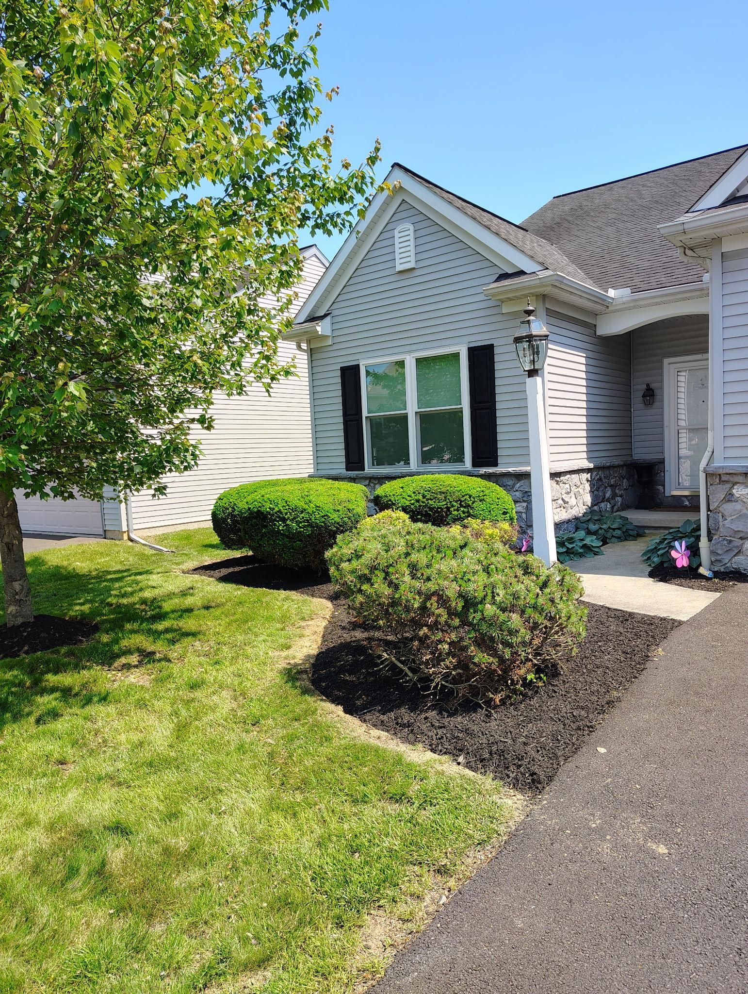 Suburban house with white siding, green shutters, front shrubs, and a tree in the yard.