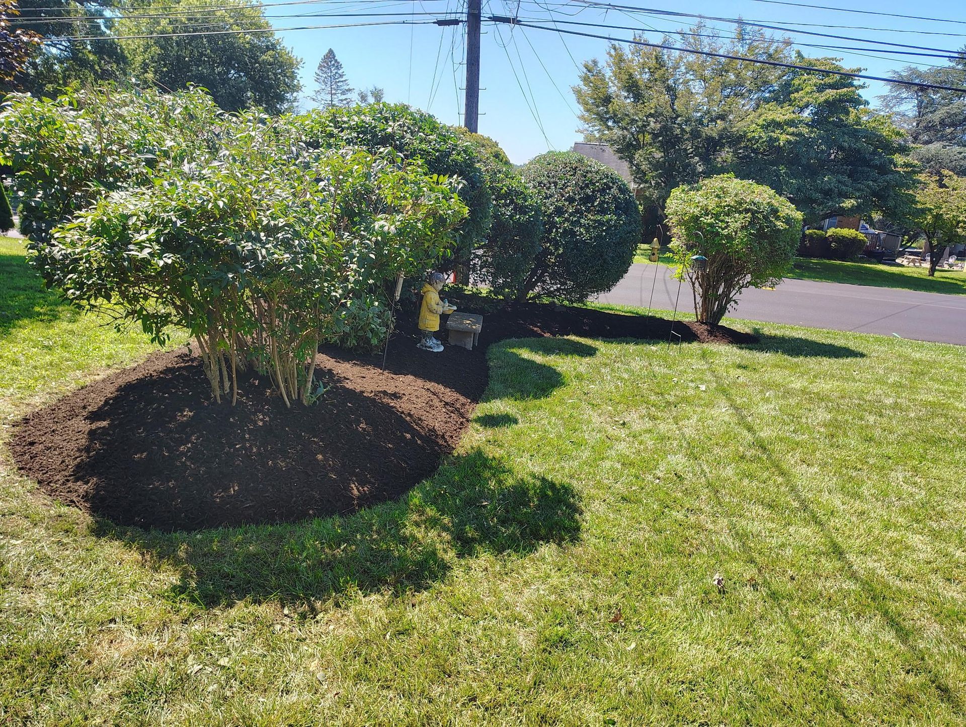 A child in a yellow jacket stands by a freshly mulched garden bed with rounded shrubs on a sunny day.
