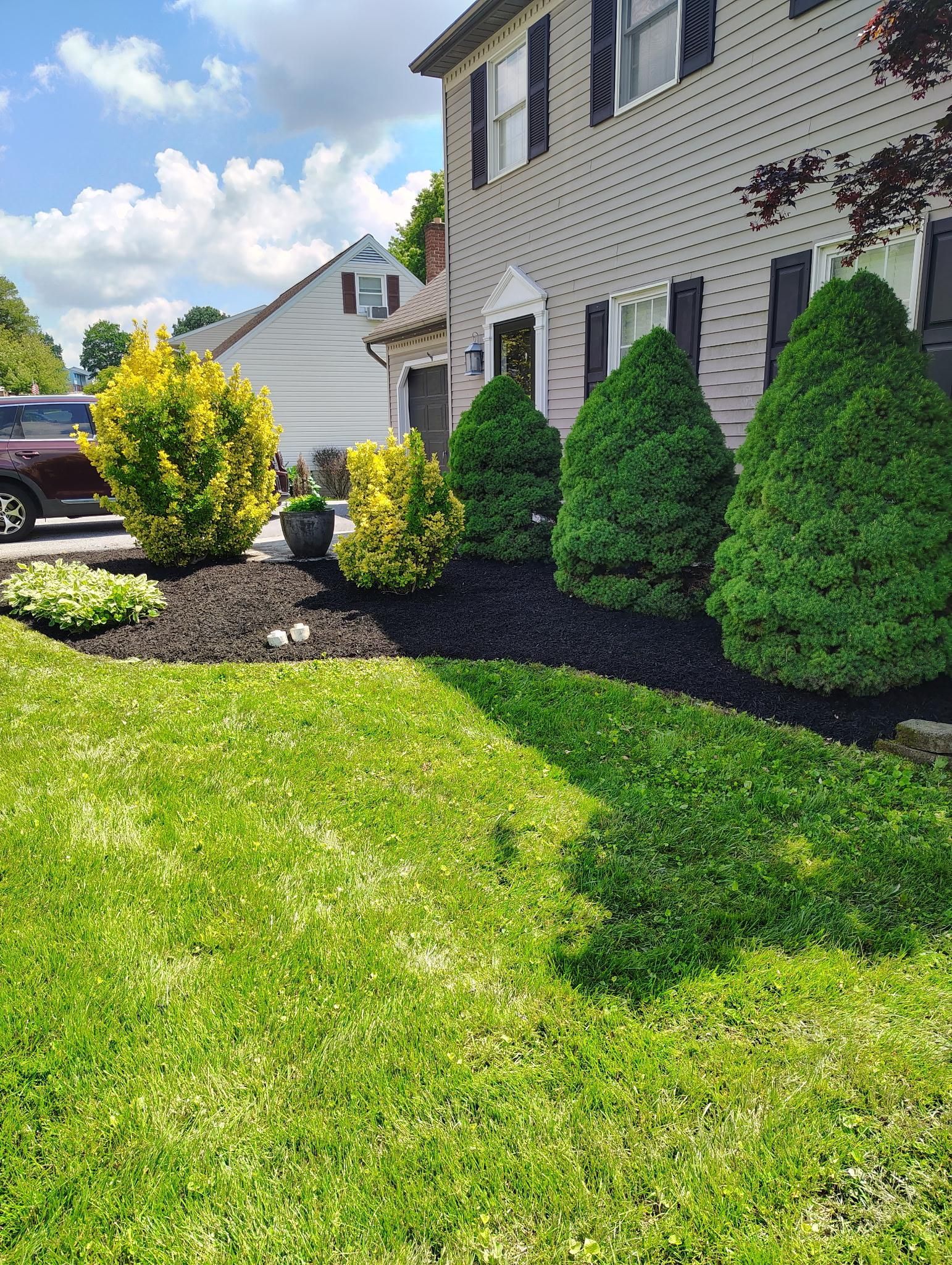 A suburban house front with a manicured lawn, dark mulch flower beds, and several green and yellow ornamental shrubs.