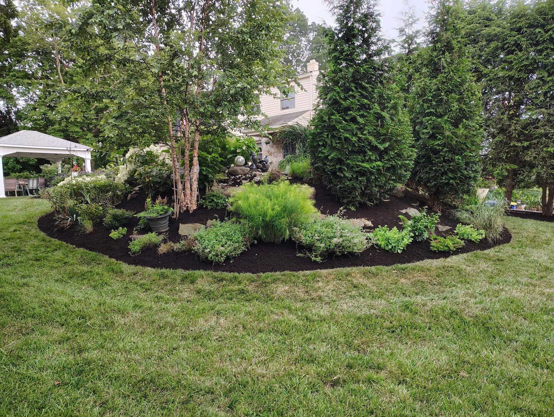 A landscaped garden bed with mulch, assorted shrubs, and a central birch tree on a lush green lawn near a house.