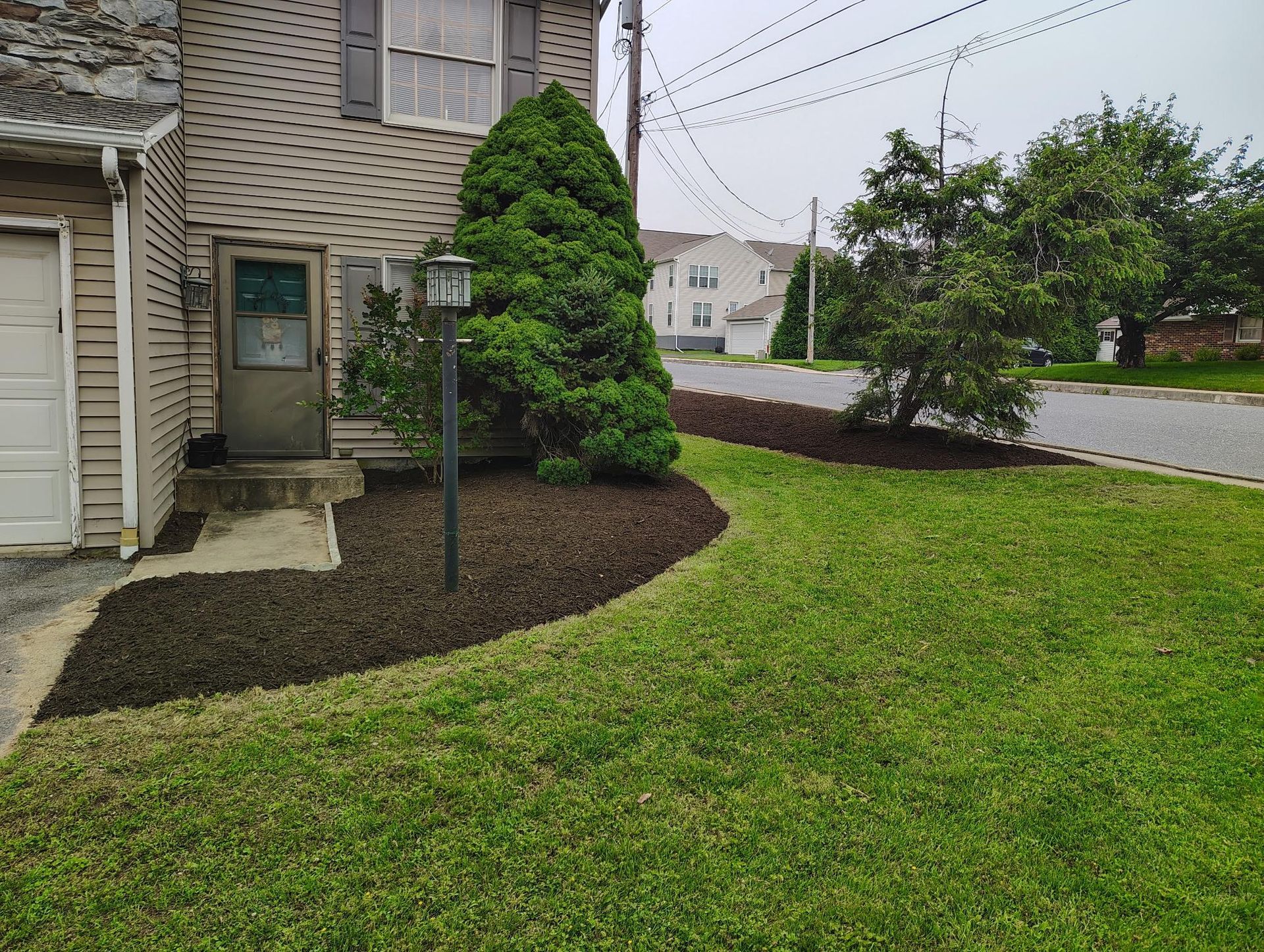 A beige residential house with a front lawn, freshly mulched garden beds, a tall evergreen, and a street in the background.