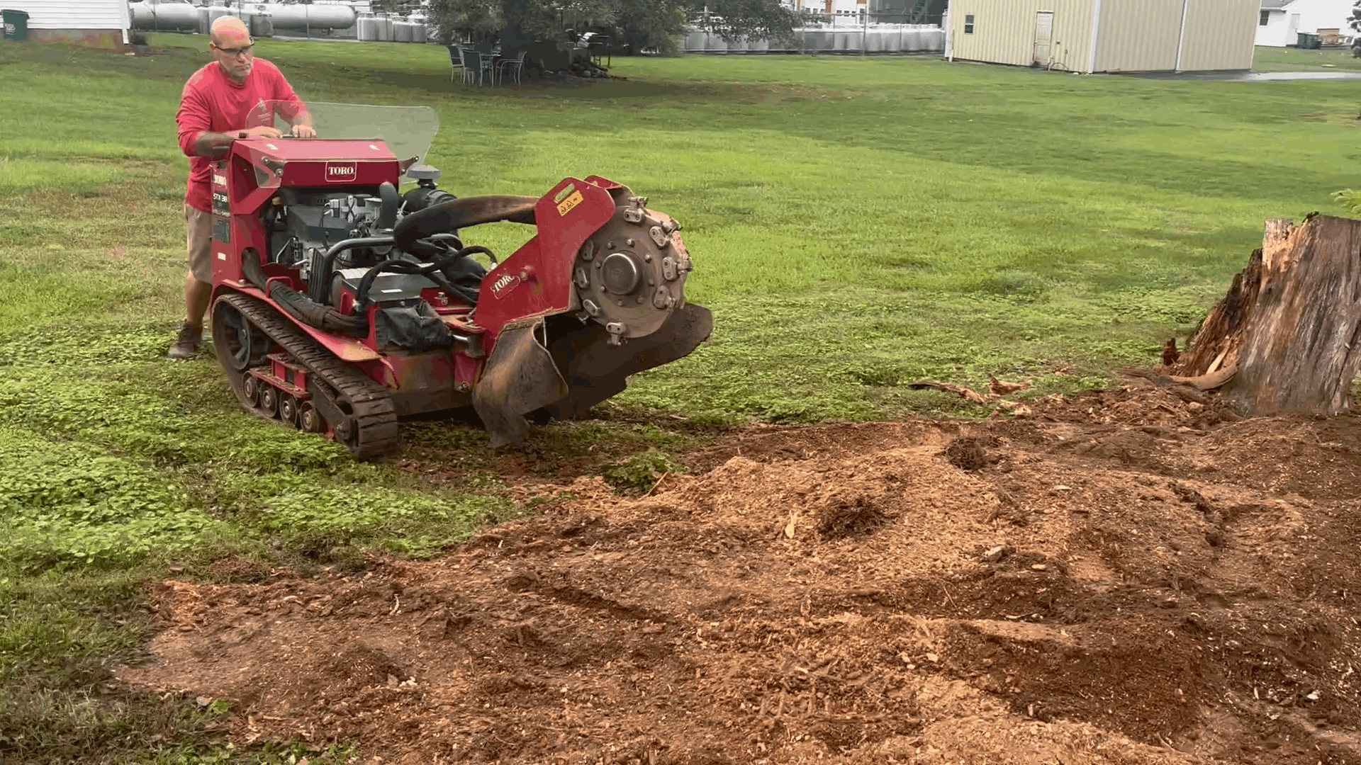 Red skid steer mulches a tree stump on a grassy lawn beside a dirt patch.