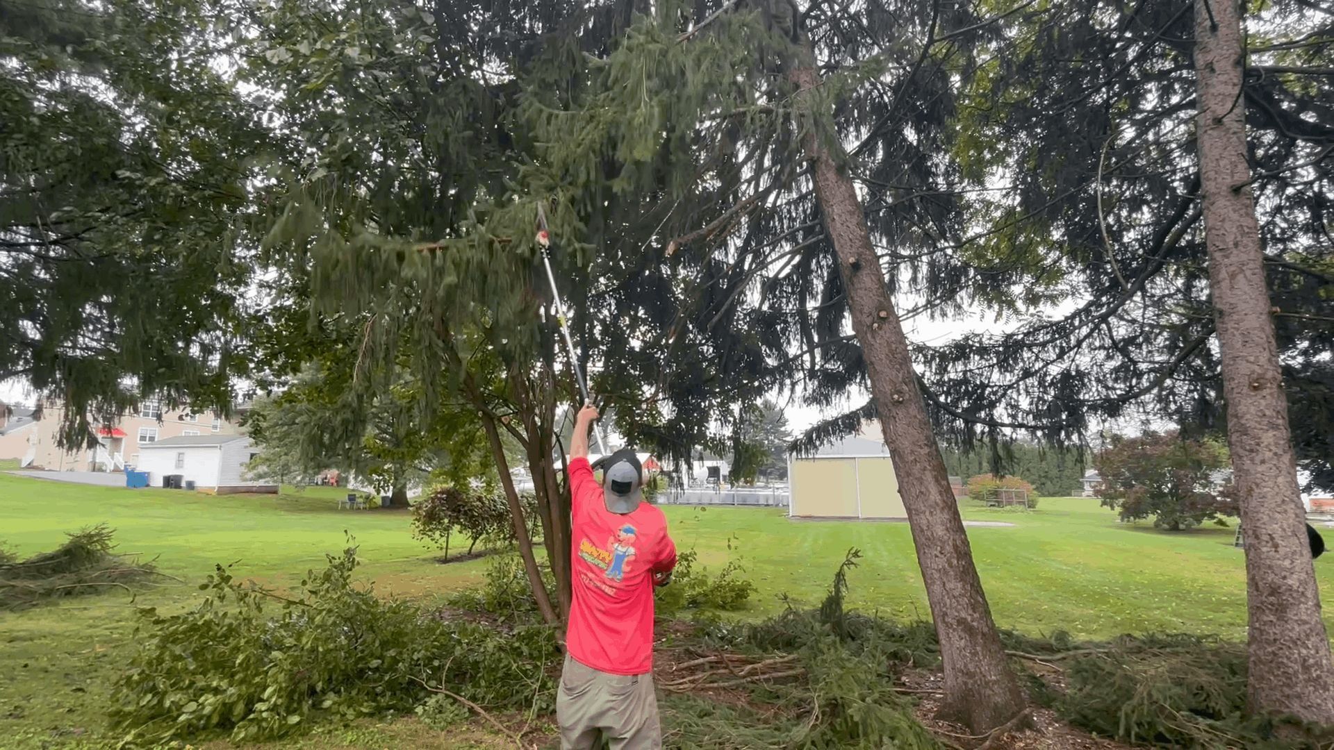 Person in red shirt holding a rope beside a leaning tree in a grassy park.