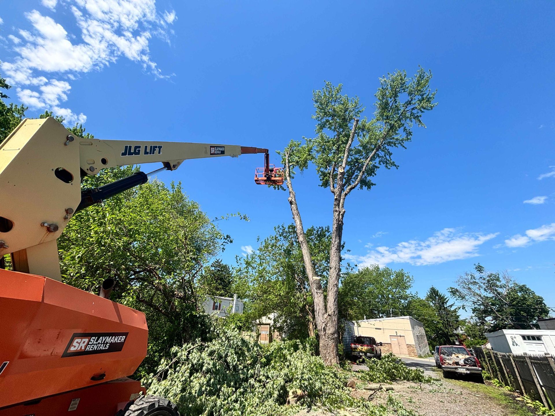Tree being trimmed by a crane against a clear blue sky in a yard.