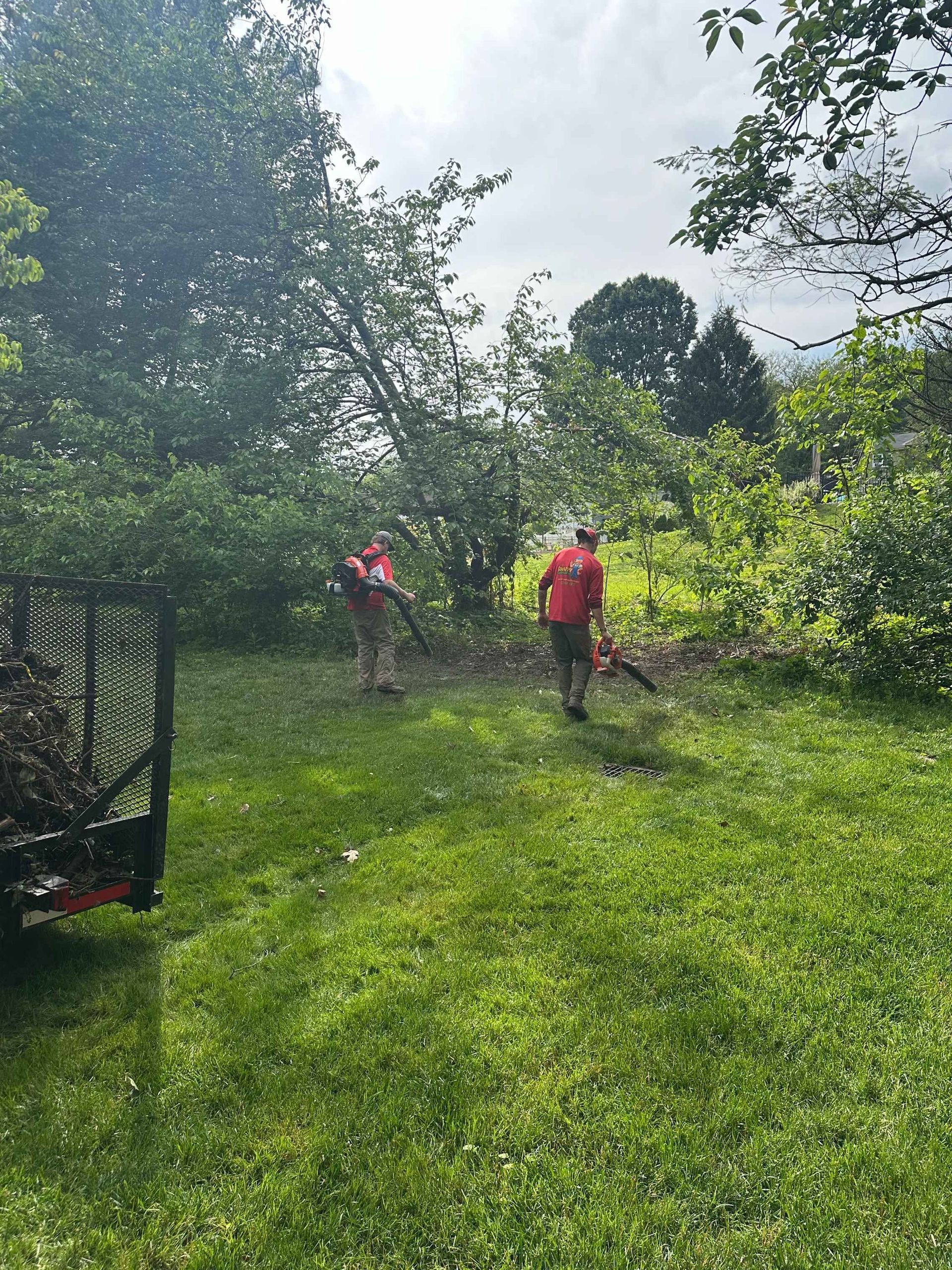 A man is cutting a tree in a yard with a chainsaw.