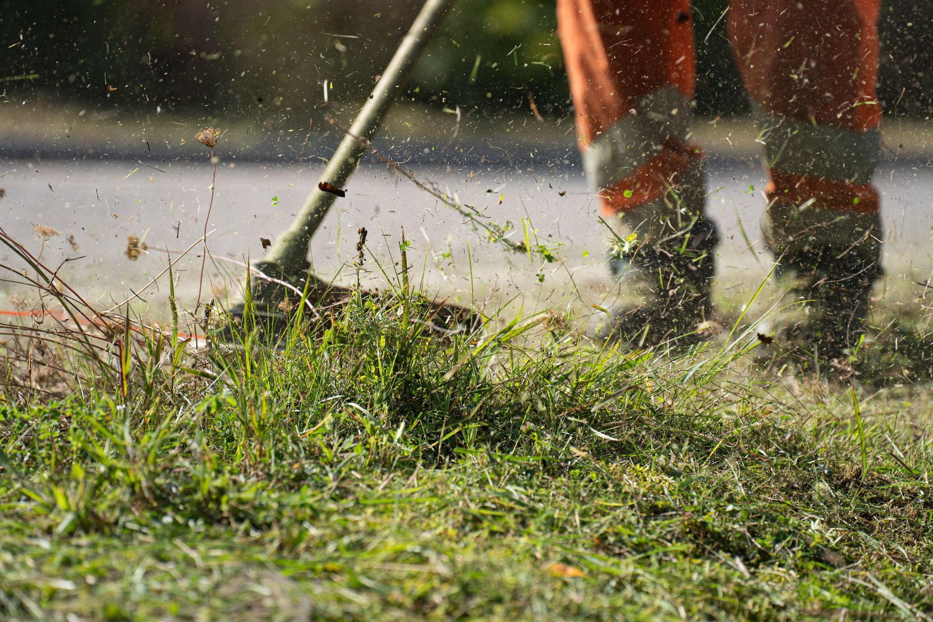 Person using a string trimmer to cut wet grass, with clippings spraying in a yard.