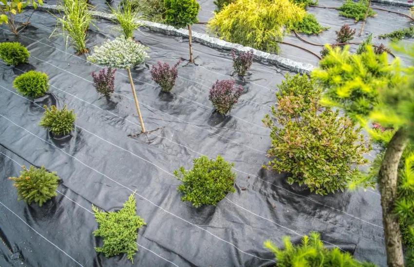 An aerial view of a garden filled with lots of plants and trees.