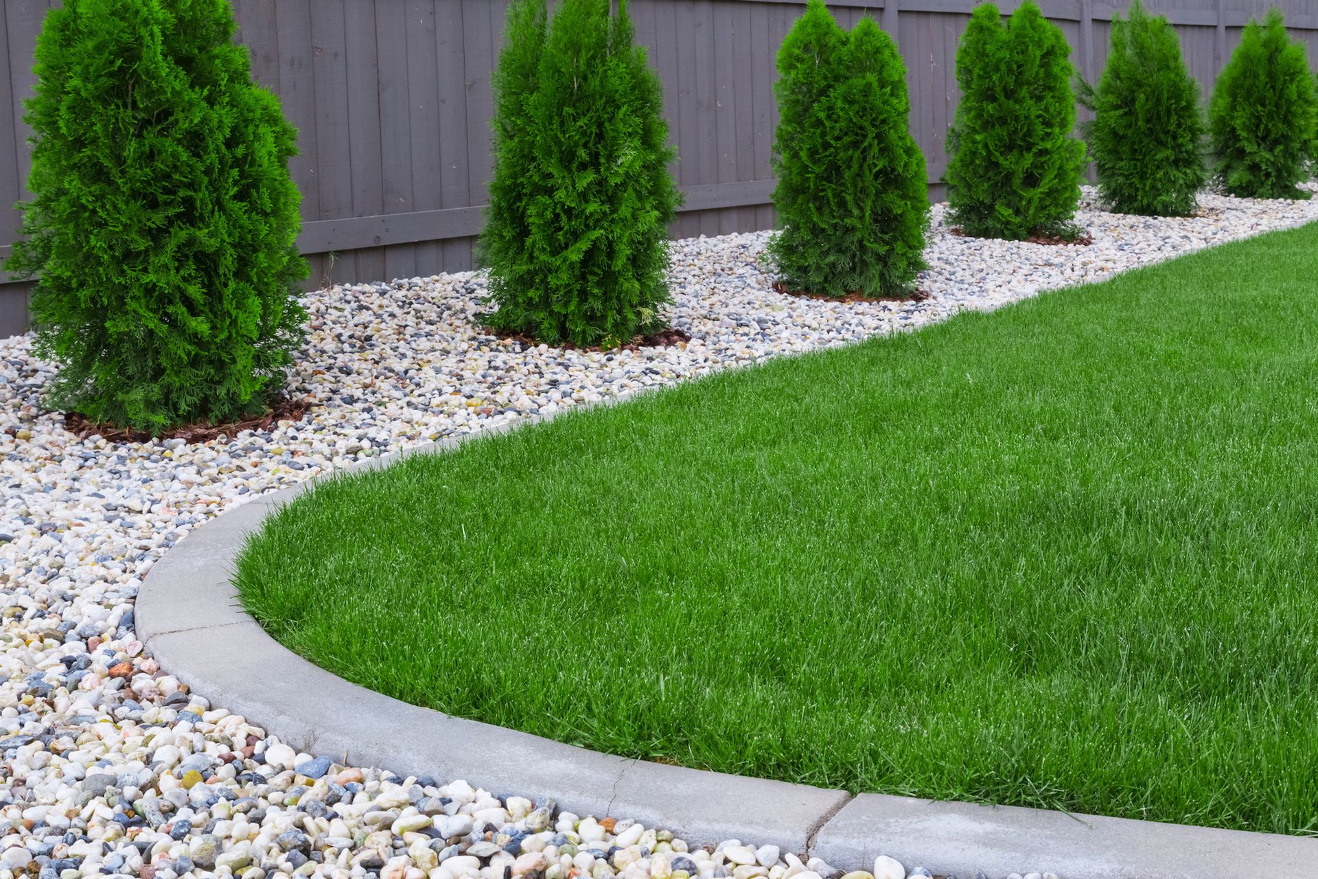 A lawn with a concrete curb surrounded by rocks and bushes.