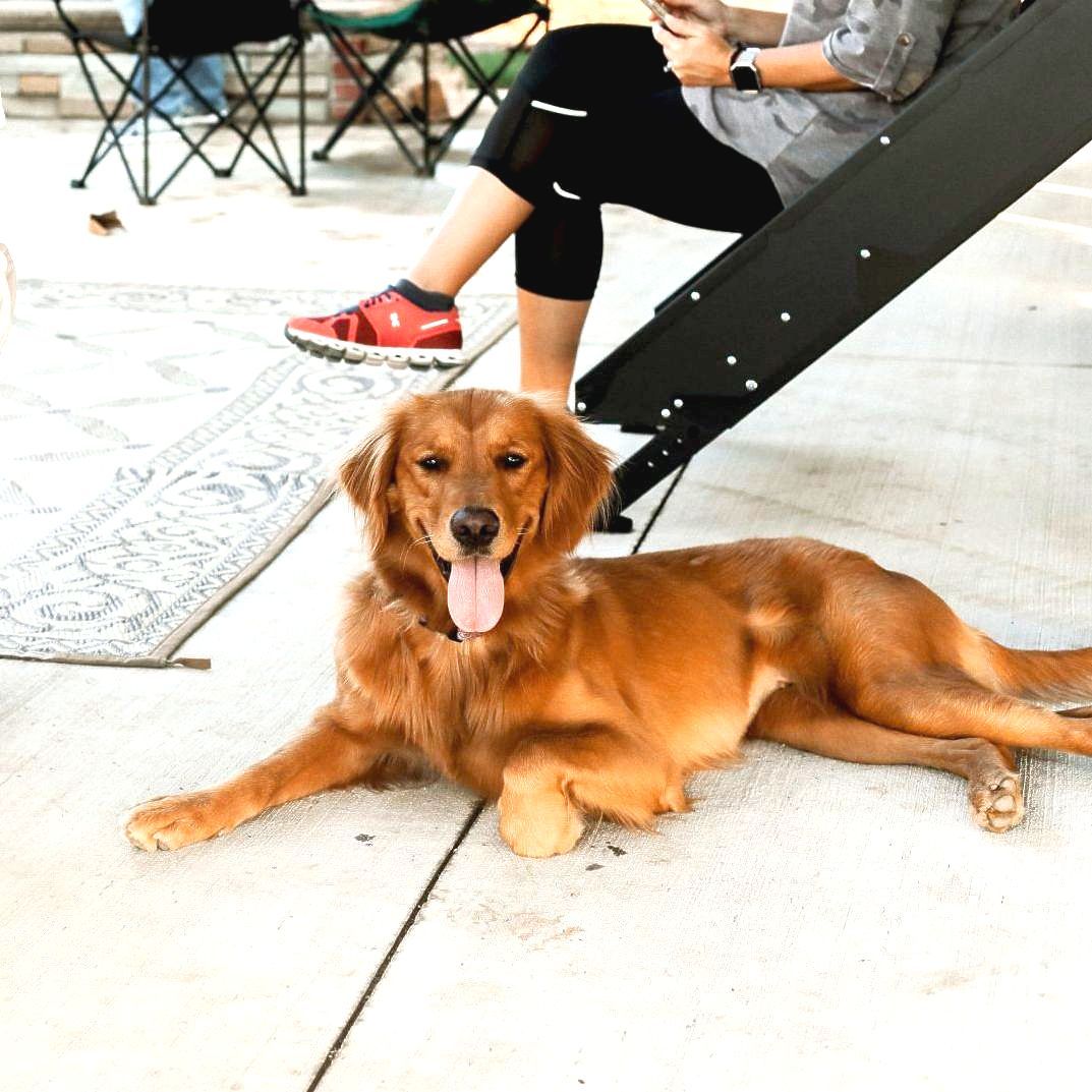 Golden retriever lying on a patio beside a seated person’s legs and a chair, tongue out.