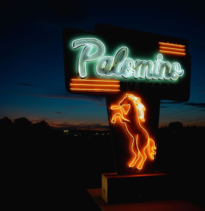 Neon Palomino sign at dusk with a glowing orange rearing horse