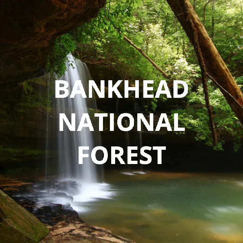 Bankhead National Forest text over a lush green forest waterfall and stream