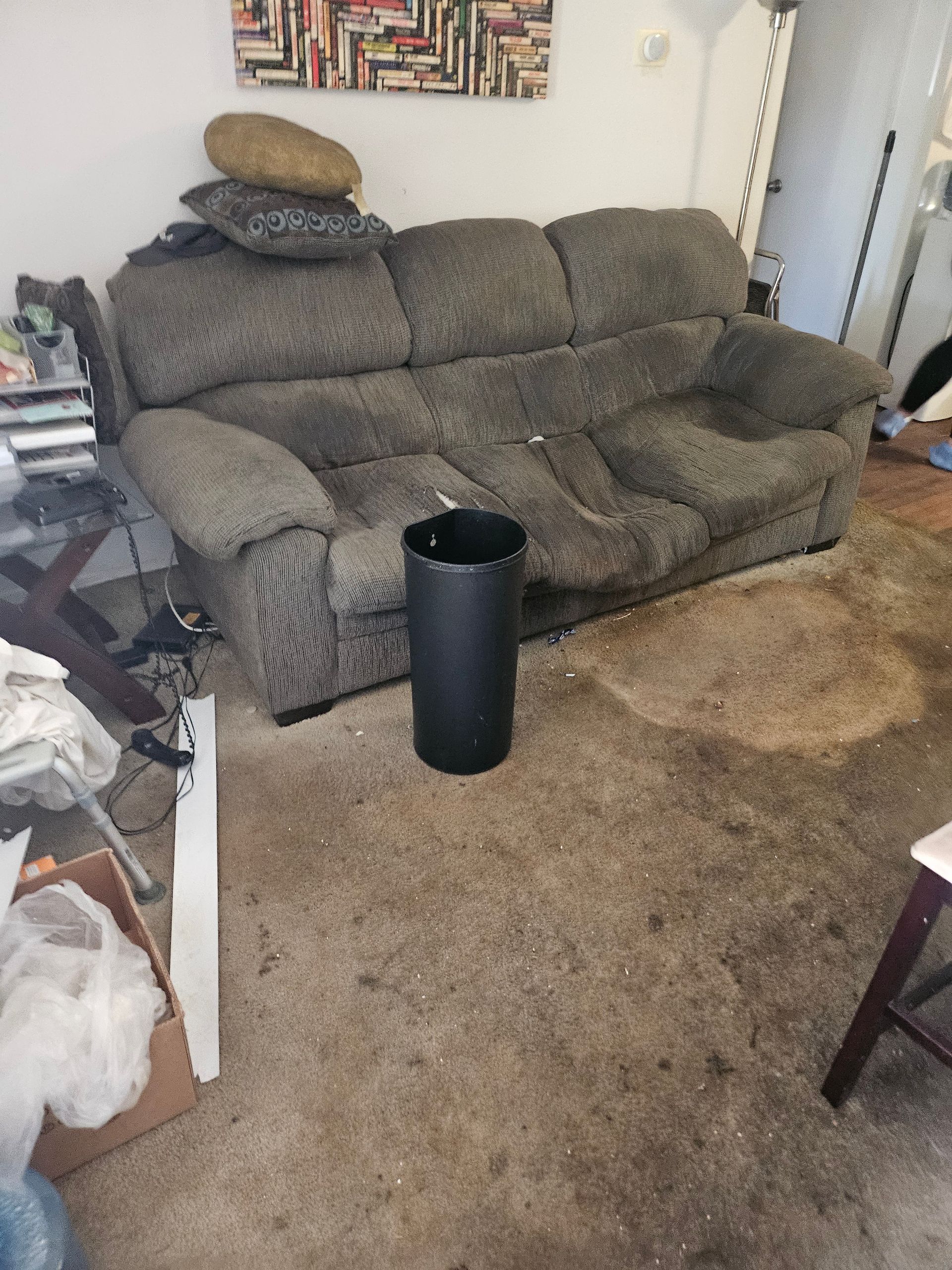 Living room with a gray couch, tan carpet, and a black trash can in front.