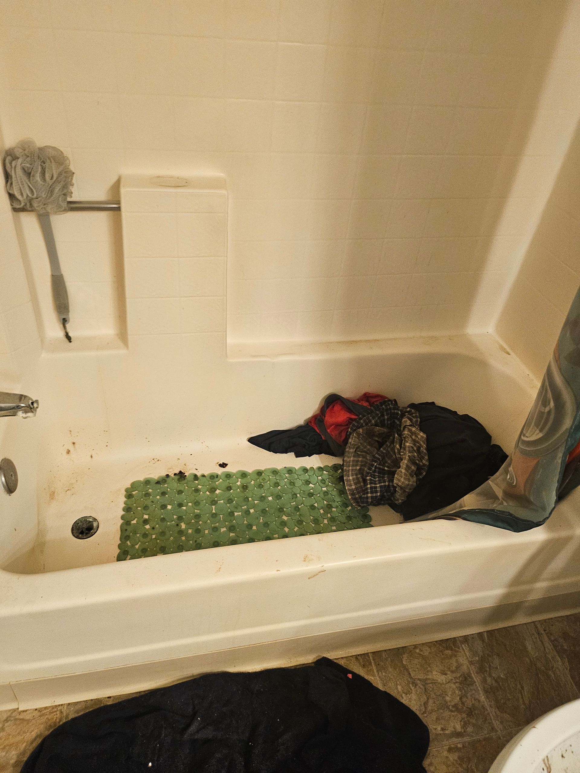 Bird with red head resting in a bathtub on a green mat, with a cat nearby.