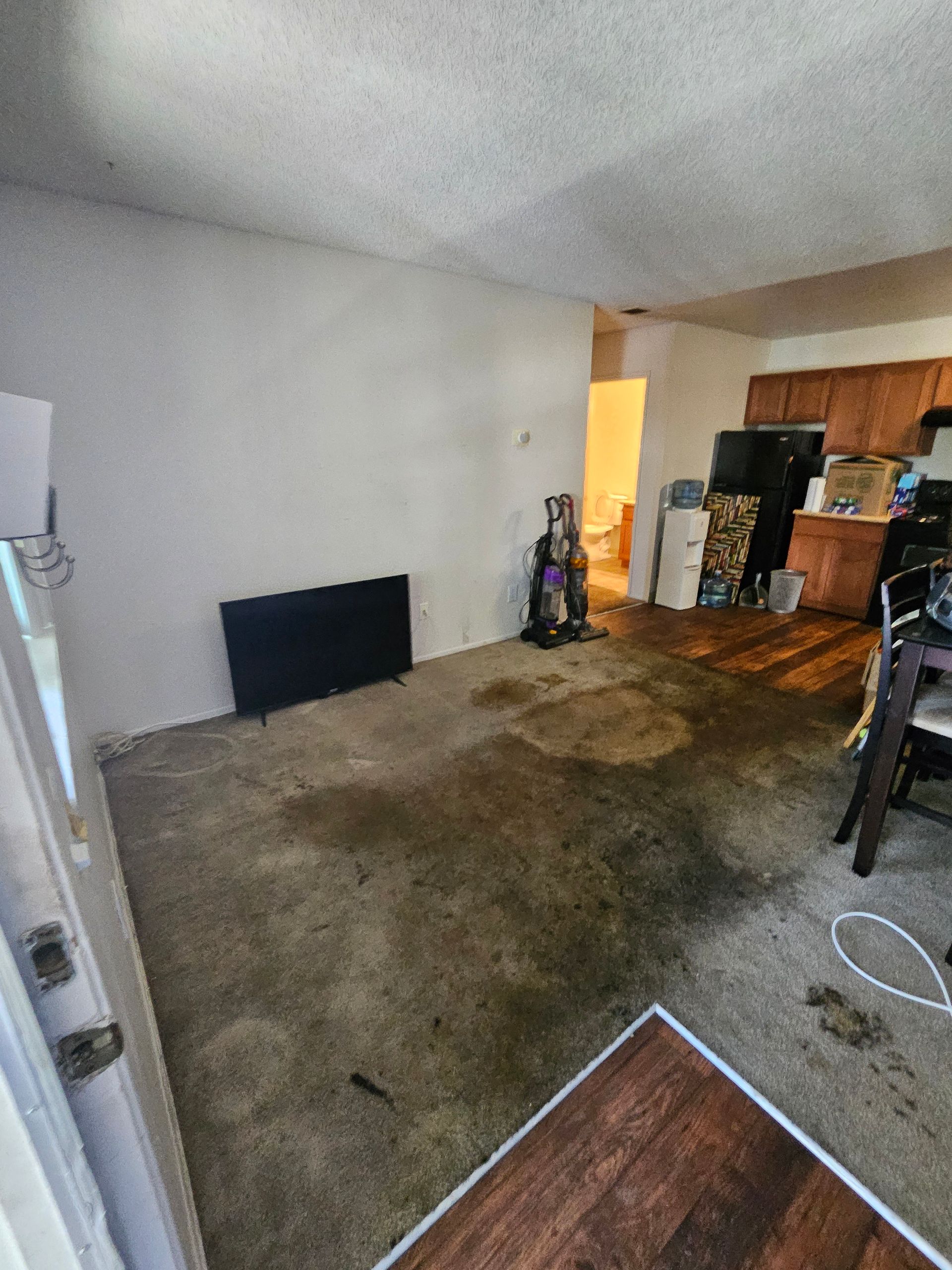 Empty living room with stained carpet, white walls, and wood flooring near a doorway