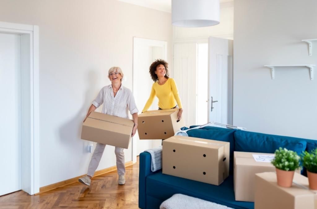 Two people carrying cardboard boxes in a bright living room during a move