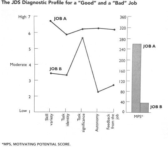 Infographic on The JDS Diagnostic Profile for a