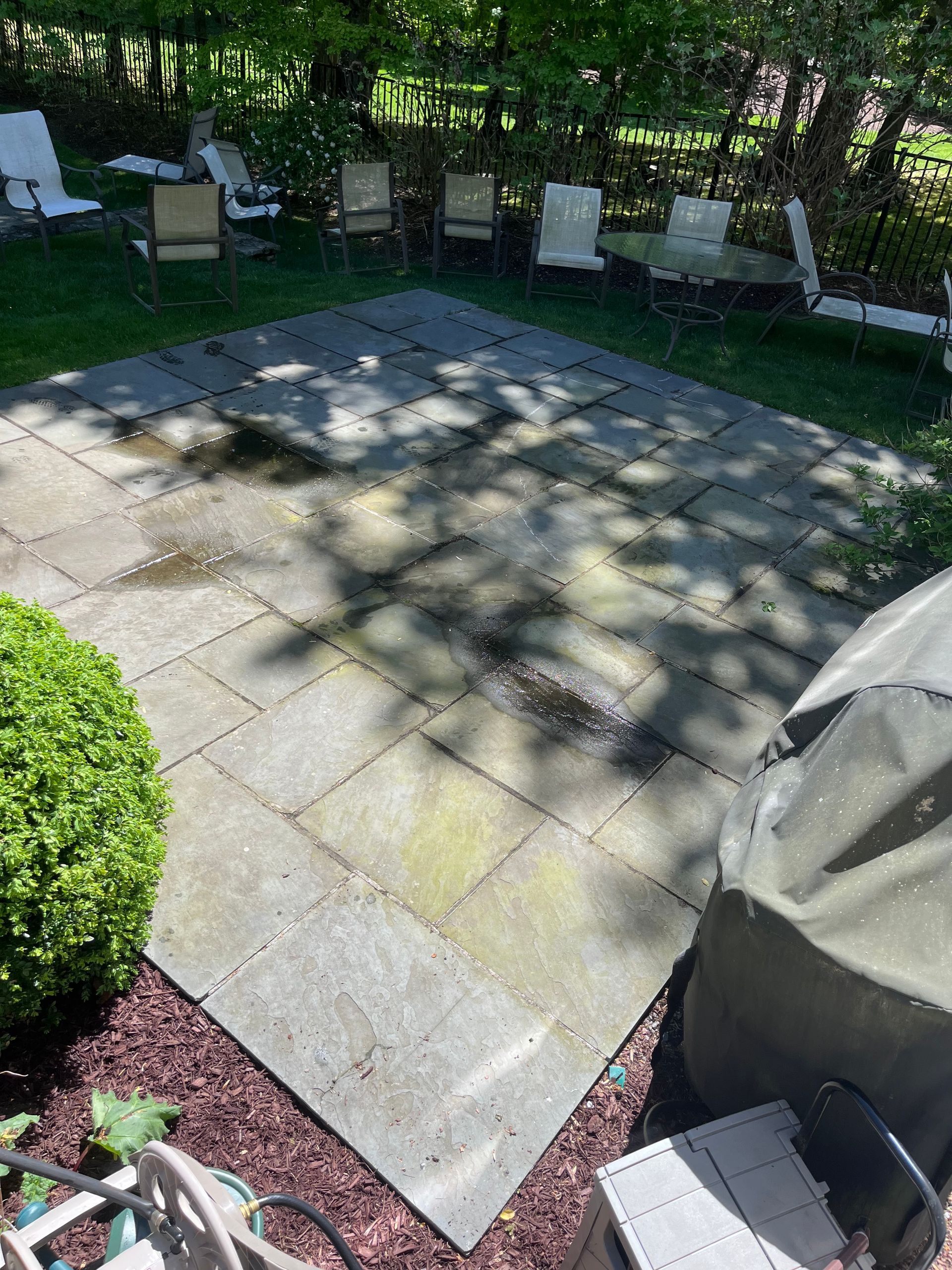 Sunlit patio with stone pavers, four chairs along a hedge, and a covered grill on the right