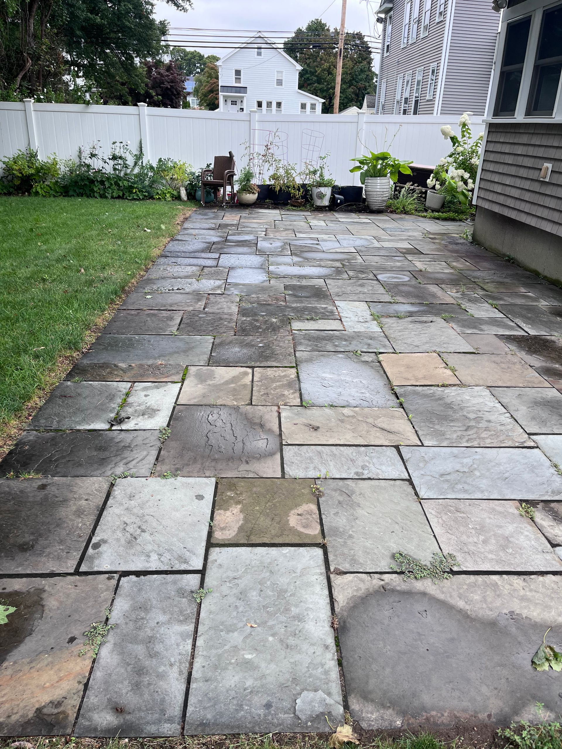 Wet stone patio leading to a white fence and plants in a backyard.