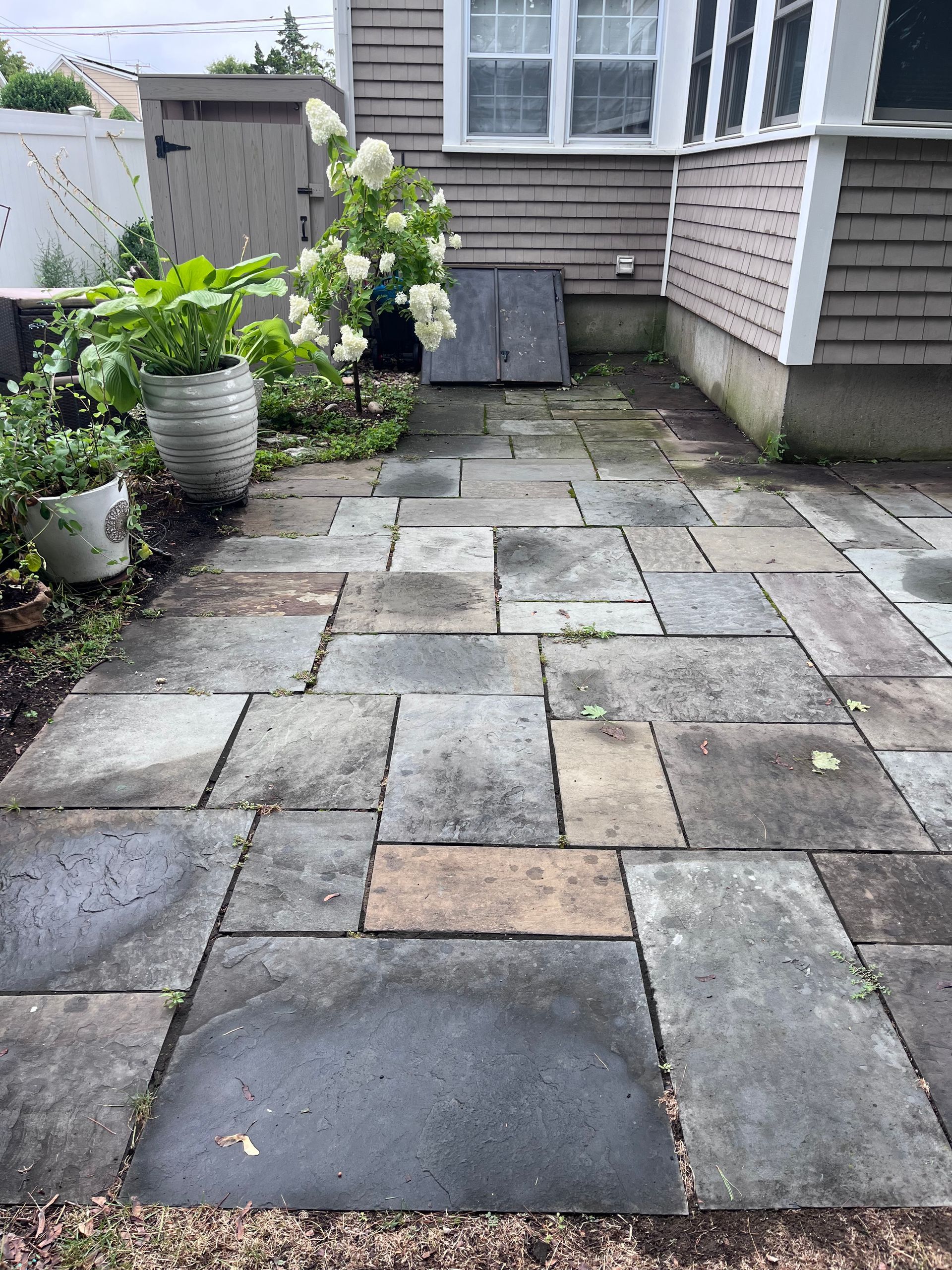 Stone patio walkway beside house with potted plants and a small shed door at the end.