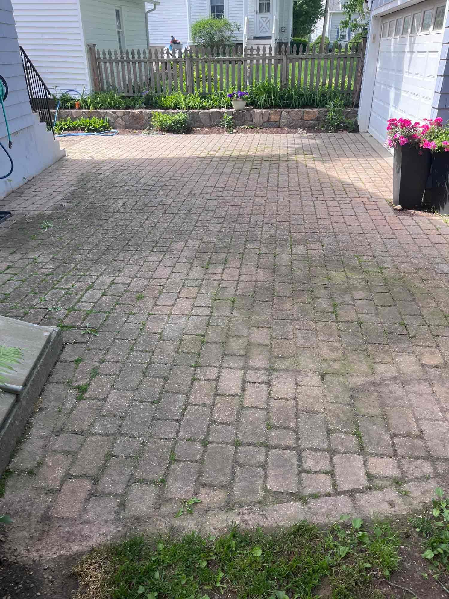 Wet stone patio leading to a white fence and plants in a backyard.