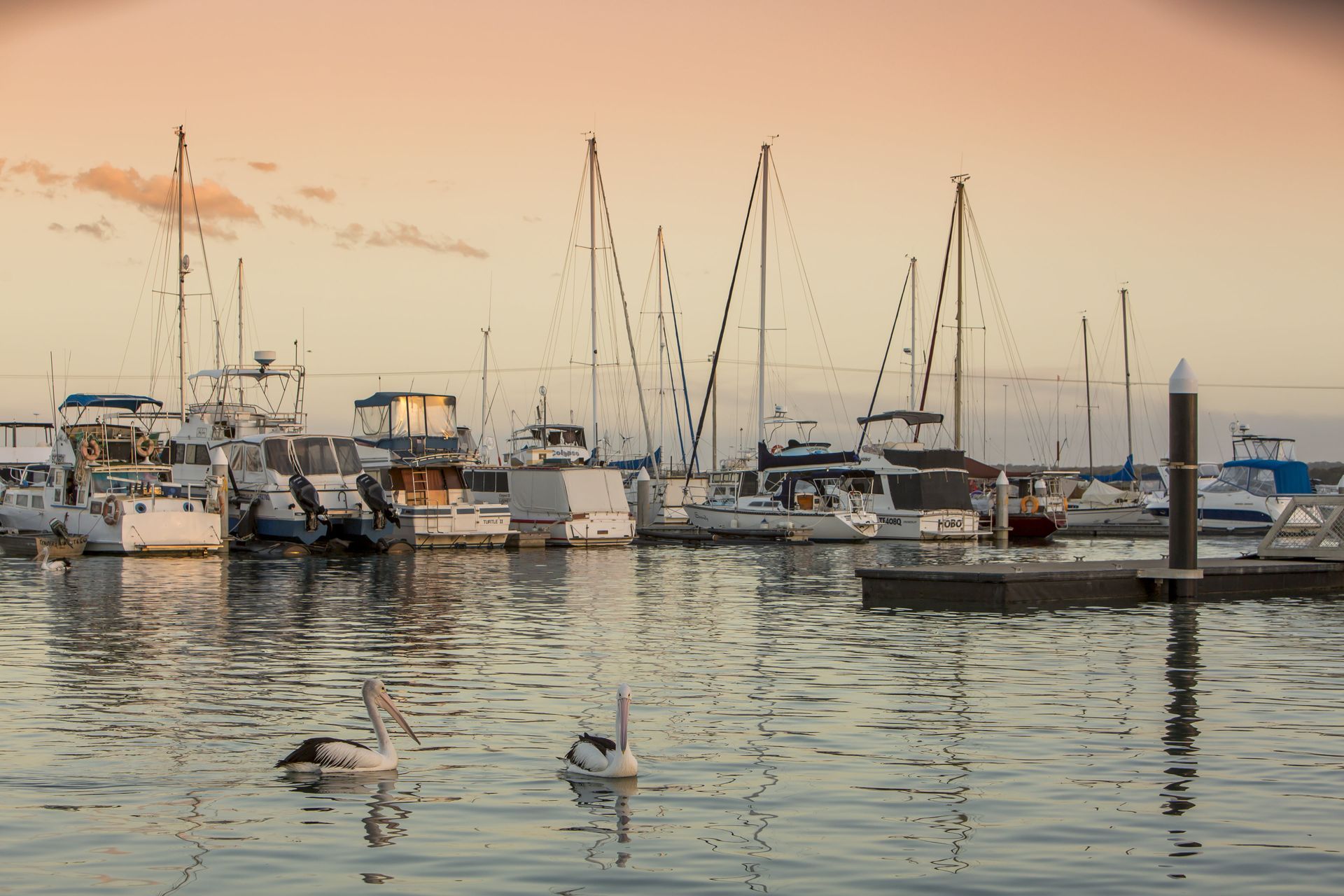 Boats Docked in Harbor at Dusk, With Pelicans in Water and Golden Sky — R&B Automotive PTY LTD In Urangan, QLD