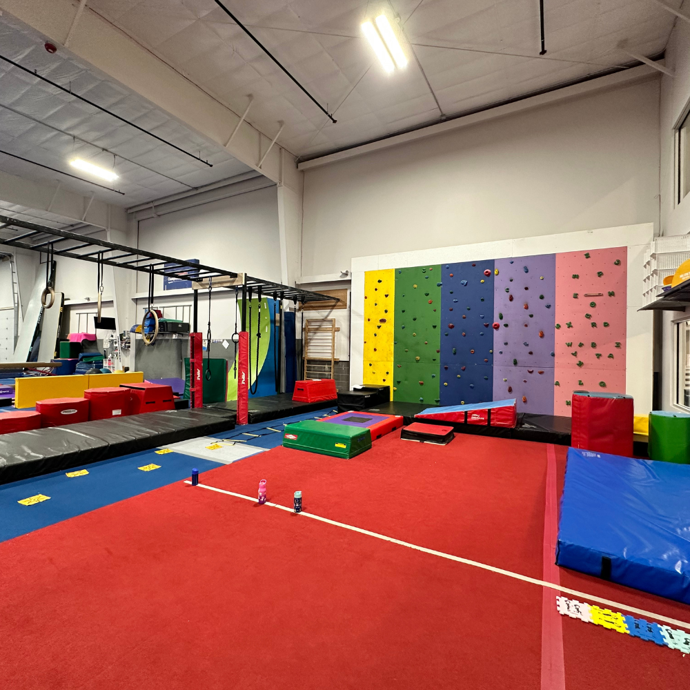 A gymnastics studio with a red carpet and a climbing wall