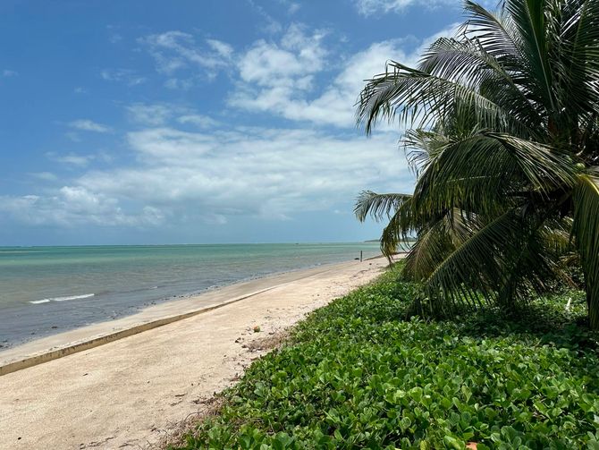 Praia tropical com areia branca, água turquesa, palmeiras e céu azul com nuvens.