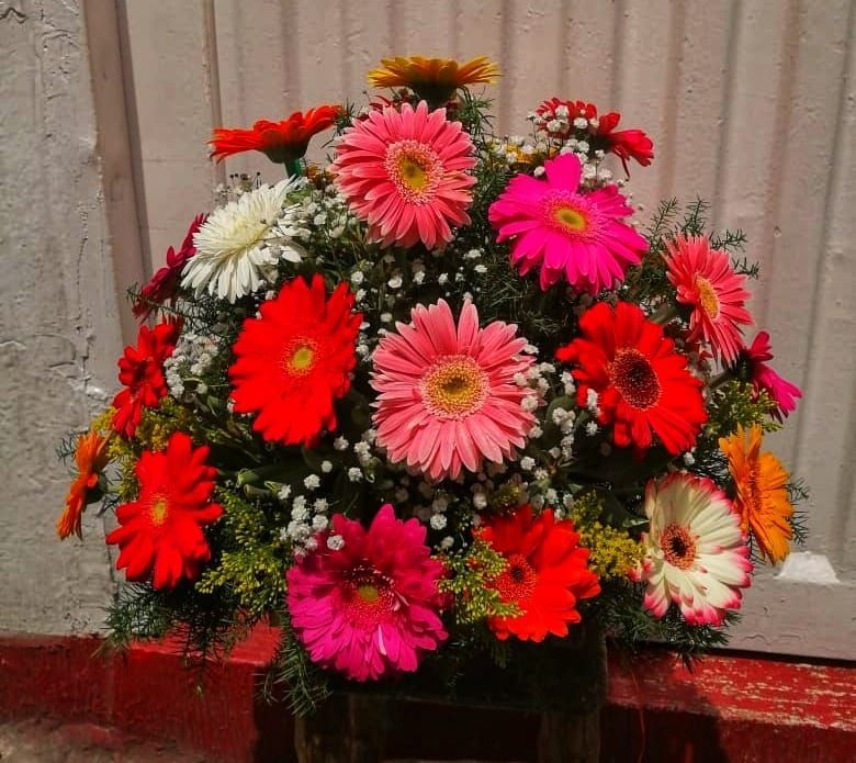 Engalanados y corazones