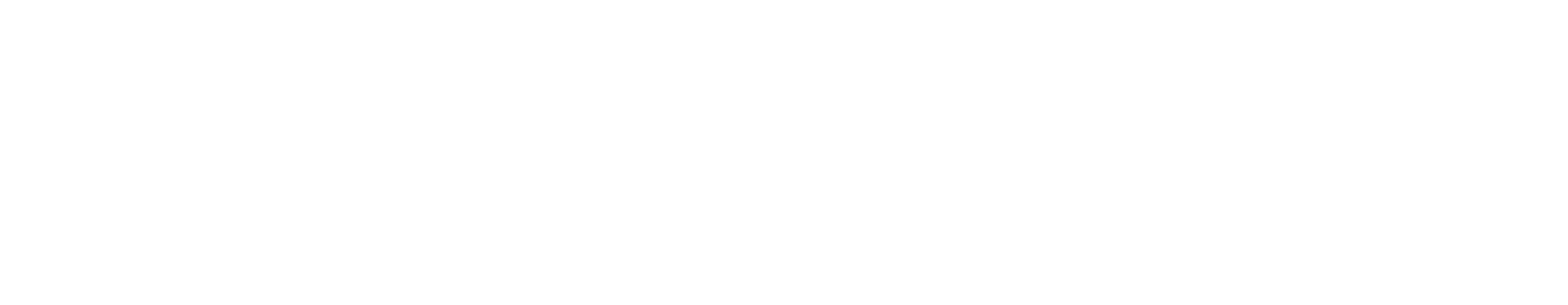 Brandy logo