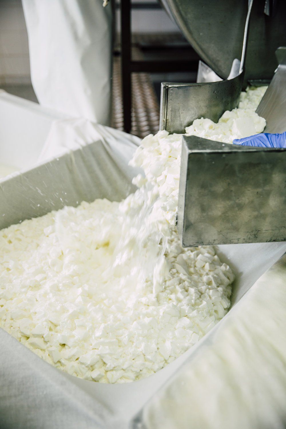 a person is pouring white powder into a container in a factory .