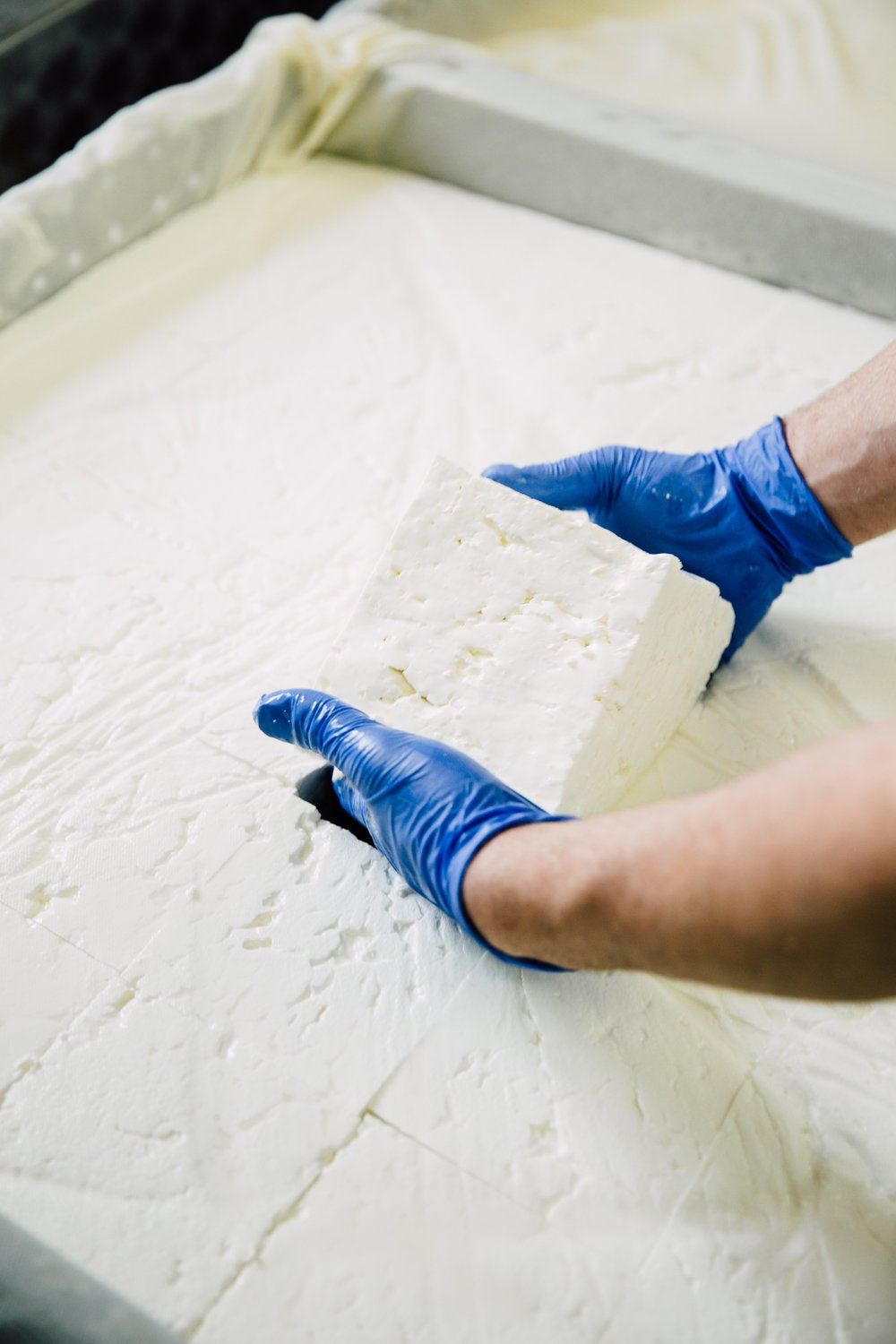 a person wearing blue gloves is holding a piece of cheese .