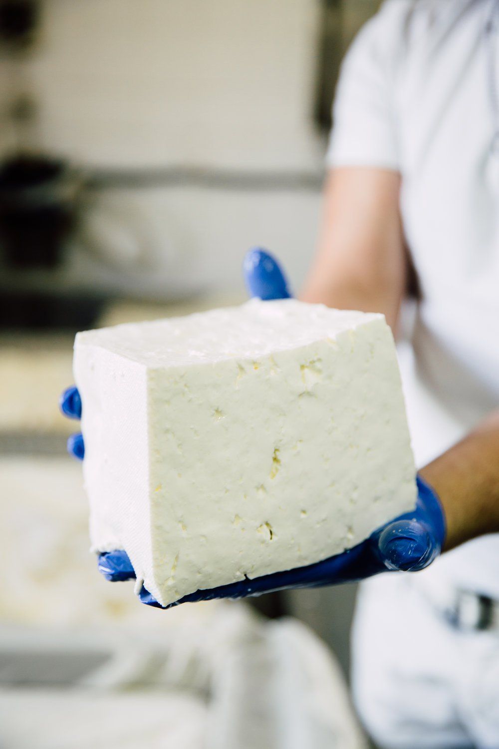 a person wearing blue gloves is holding a block of cheese .